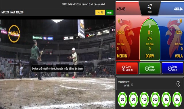 Giao diện cược đá gà hiện đại