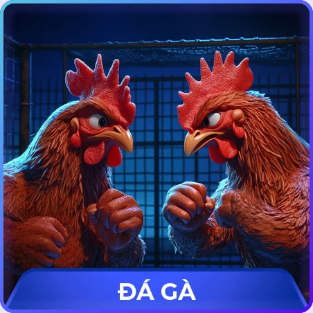 Cá cược đá gà cùng 78win